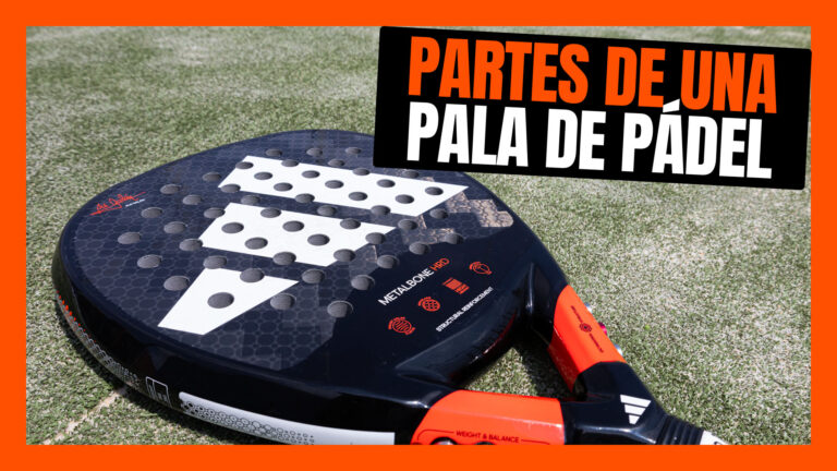 Partes de una pala de pádel Zona de Padel